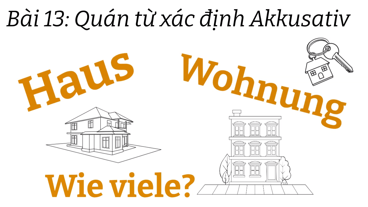 Ngữ pháp tiếng đức A1.1 | Bài 13  | Quán từ xác định akkusativ  | Mít học tiếng đức