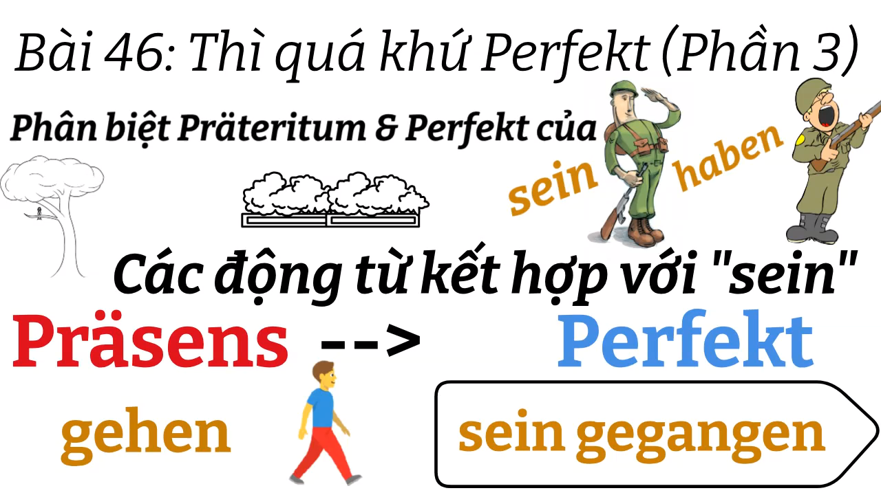 Ngữ Pháp TIếng Đức A1.2 | Bài 46 | Thì quá khứ Perfekt (Phần 3) | Quá khứ Perfekt với "sein" | Mít Học Tiếng Đức