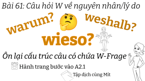 Ngữ Pháp Tiếng Đức A2.1  |  Bài 61  |  Các câu hỏi W về nguyên nhân / lý do 