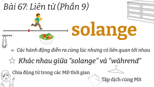 Ngữ Pháp Tiếng Đức A2.1 | Bài 67 | Liên từ (Phần 9): "solange" |  Khác nhau giữa "solange" và "während"